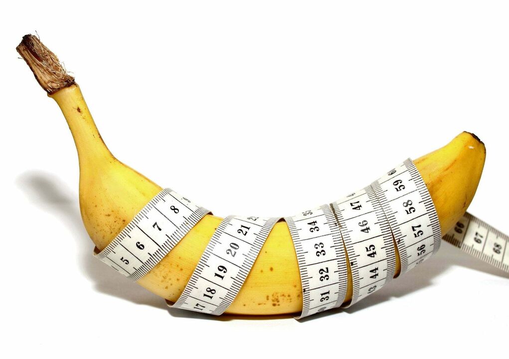 Normale Länge des Penis