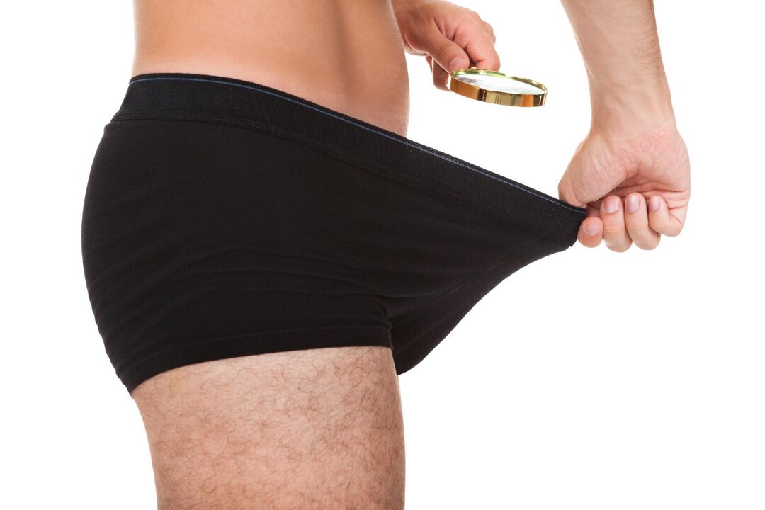 normale Größe des männlichen Organs